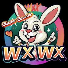 wxwx Logo
